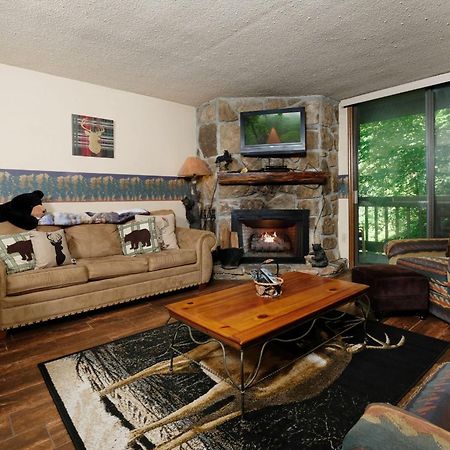 Bear Creek 167 Villa Gatlinburg Bagian luar foto
